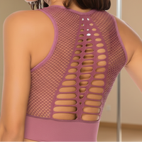 Brassière Pole Dance Aera Mesh rose – VYBE™